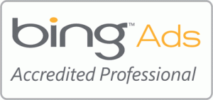 Bing Ads Accredited Professional - Techshu