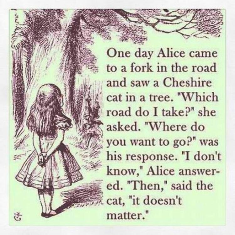 Story of Alice - Techshu