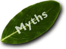 Digital Marketing Myths - Techshu Blog