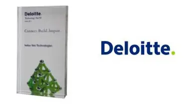 Deloitte award plaque for innovative technology